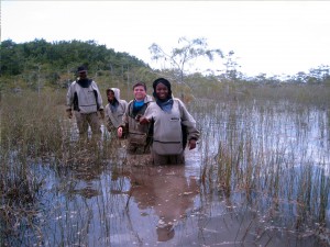 Burke and some of the junior scientists explore the wetlands at Everglades National Park in Florida.