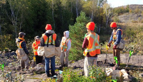 U-Haul, Tree Canada Reach Milestone in Environmental Work