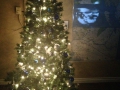 Photo_11371