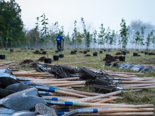 Planting Roots in the Ground
