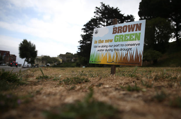 Brown is the New Green | My U-Haul Story