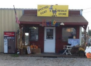 The Spotted Goat Resale