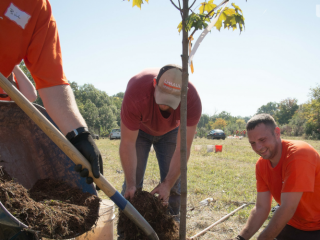 Plant a Forest for $3: U-Haul Tree Planting Partnerships
