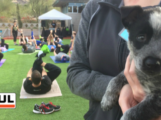 Puppies and Pilates: U-Haul Event Helps Animals