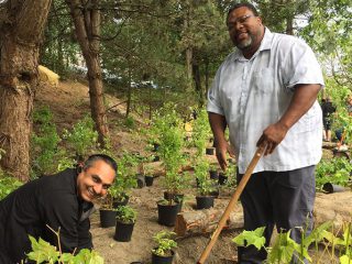 People planting trees and smiling
